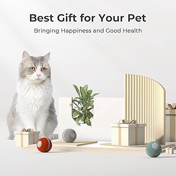 ボール a-kity Amazon.com : Cheerble Smart Interactive Cat Toy, Automatic